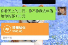 嫩江如何避免债务纠纷？专业追讨公司教您应对之策